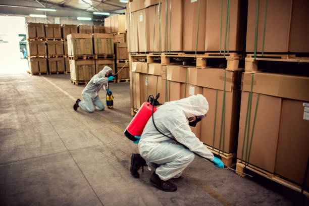 Best Affordable Pest Control Services  in Wheatland, CA