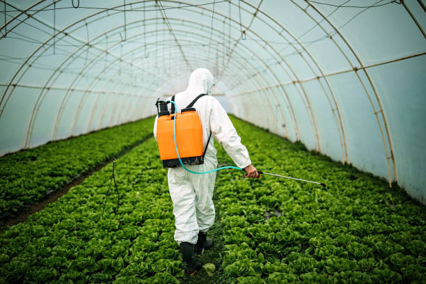 Best Residential Pest Control  in Wheatland, CA