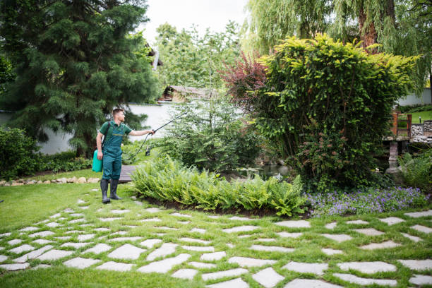 Best Commercial Pest Control Services  in Wheatland, CA