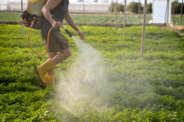 Best Mosquito Control Services  in Wheatland, CA