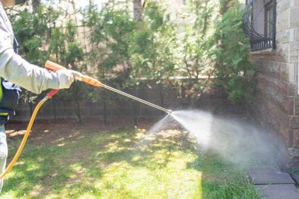 Pest Prevention Services in Wheatland, CA