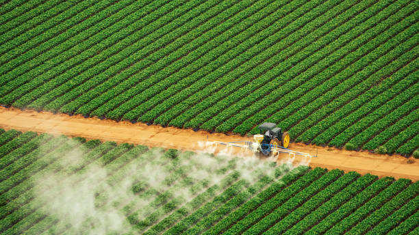 Best Mosquito Control Services  in Wheatland, CA