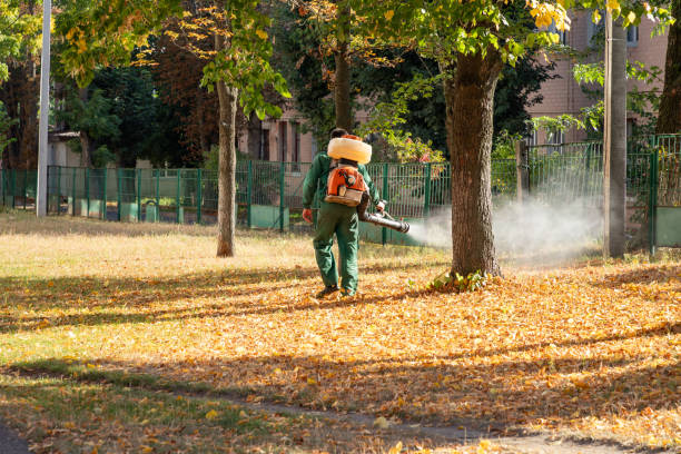 Best Pest Removal Services  in Wheatland, CA